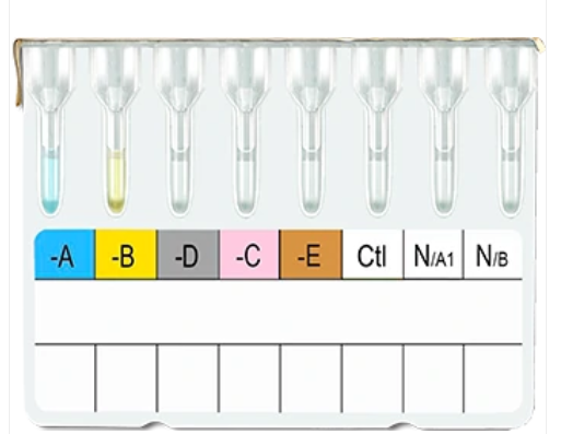 ABO / Rh Blood Grouping Card (8 - Column)